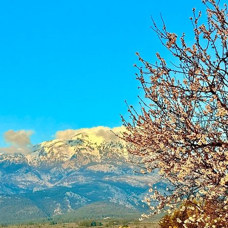 Villa Vasiliki Paliouras Eksteriør bilde