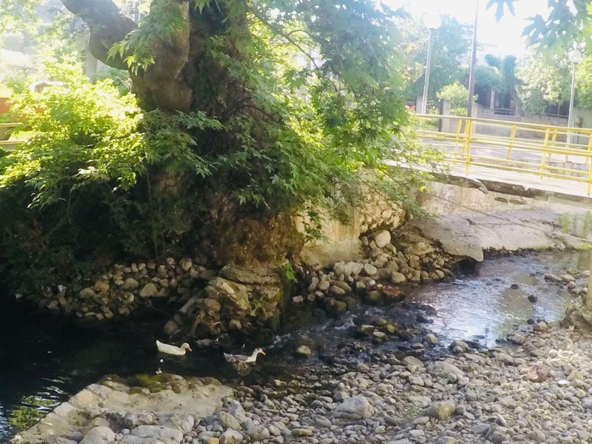 Villa Vasiliki Paliouras Eksteriør bilde